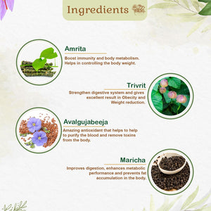 Safe & Effective Ayurvedic Weight Loss Capsules - Naturally Supports Fat Reduction - Kairali Ayurvedic Products Private Limited