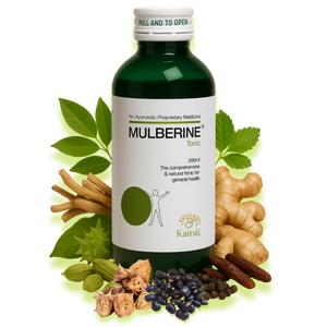 Ayurvedic Health Tonic - Multivitamin Syrup Mulberine