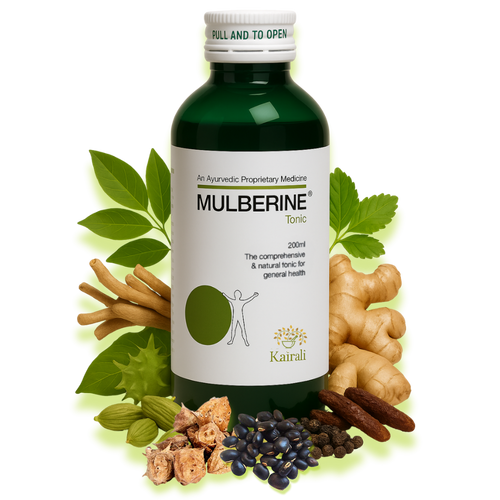Ayurvedic Health Tonic - Multivitamin Syrup Mulberine