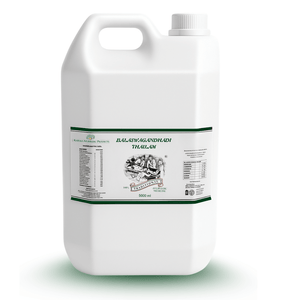 Ayurvedic Oil for Muscular Strength, Arthritis and Neurological Problems - Balaswagandhadi Thailam - Kairali Ayurvedic Products Private Limited