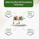 Ayurvedic Treatment for Premature Ejaculation & Erectile Dysfunction - Enhance Stamina & Performance Naturally - Kairali Ayurvedic Products Private Limited