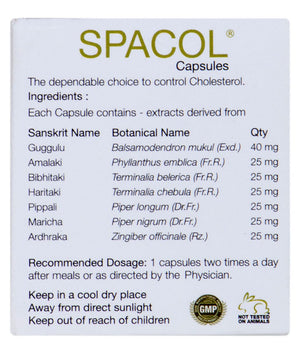 Best Ayurvedic Medicine for High Cholesterol - Natural Solution to Maintain Healthy Cholesterol - Kairali Ayurvedic Products Private Limited