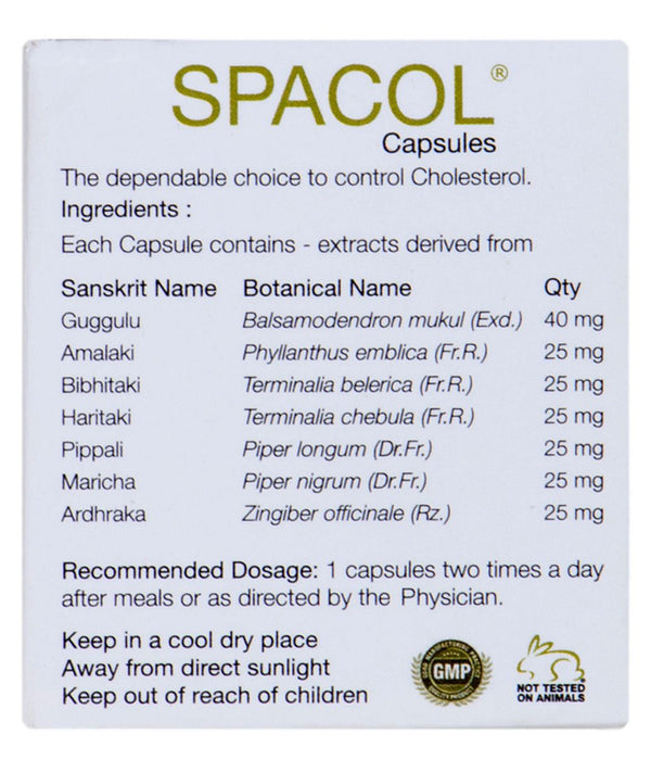 Best Ayurvedic Medicine for High Cholesterol - Natural Solution to Maintain Healthy Cholesterol - Kairali Ayurvedic Products Private Limited