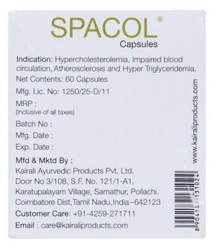 Best Ayurvedic Medicine for High Cholesterol - Natural Solution to Maintain Healthy Cholesterol - Kairali Ayurvedic Products Private Limited