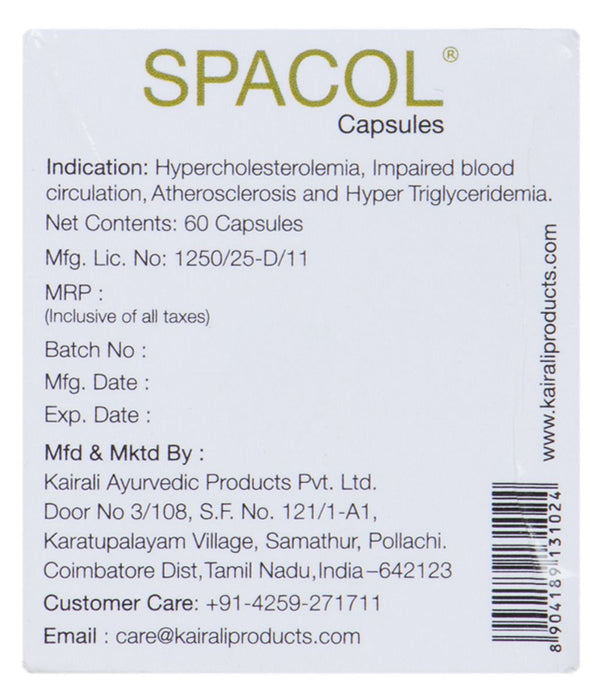 Best Ayurvedic Medicine for High Cholesterol - Natural Solution to Maintain Healthy Cholesterol - Kairali Ayurvedic Products Private Limited