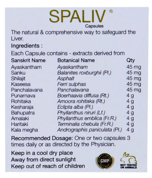 Best Ayurvedic Medicine for Liver Disease & Liver Protection - Restores Liver Naturally - Kairali Ayurvedic Products Private Limited