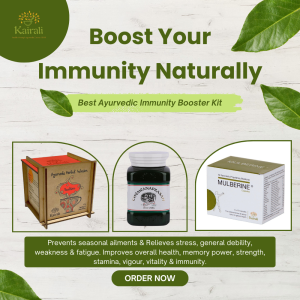 Ayurvedic Immunity Booster Kit - 3 item